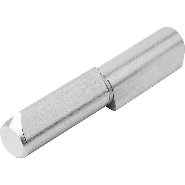 Hinge Weldable 20X100, D=16, Stainless Steel Satin Finished Polished, Comp:Stainless Steel